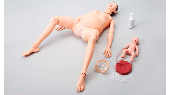  Sakamoto Whole Body Pregnant Model